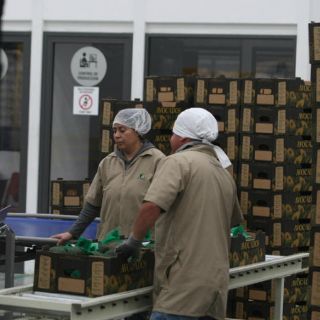 Jalisco registra aumento en empleo en lo que va del año