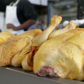 Advierten de riesgos de lavar el pollo crudo