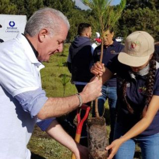 Conafor 'tala' apoyos; sube gasto en nómina