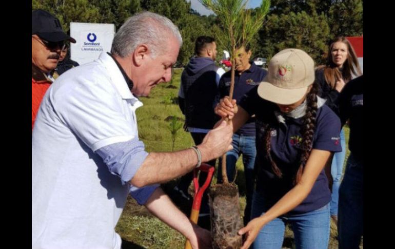 Jorge Rescala, director general de la Conafor, gana 192 mil 568 pesos al mes, más que varios gobernadores. TWITTER / JorgeRescala