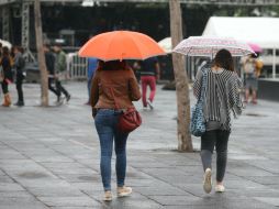 Las precipitaciones podrían estar acompañadas de actividad eléctrica y fuertes vientos. EL INFORMADOR / ARCHIVO