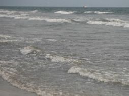 El fenómeno mar de fondo, principalmente, es el que impide continuar con la búsqueda de los dos jóvenes. EL INFORMADOR / ARCHIVO