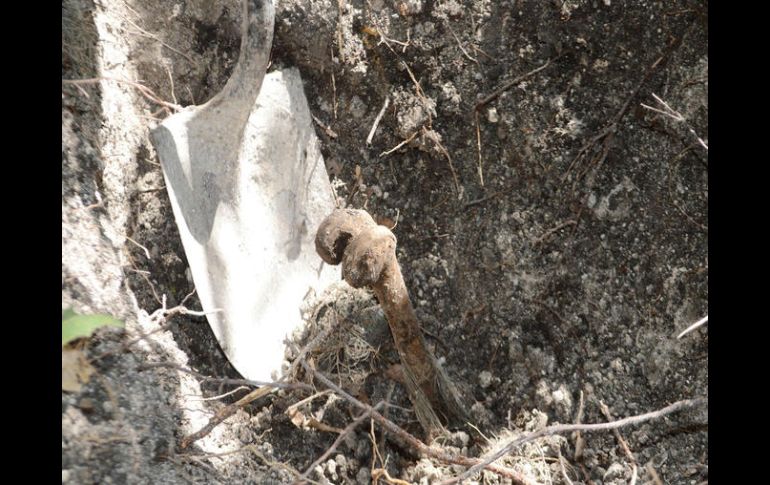 Los trabajos estuvieron a cargo de un equipo de agentes de la Seido, así como de arqueólogos de la PGR y la gendarmería. SUN / ARCHIVO