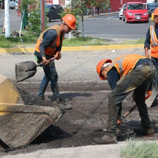 Comienza segunda etapa de reencarpetamiento en Adolf Horn