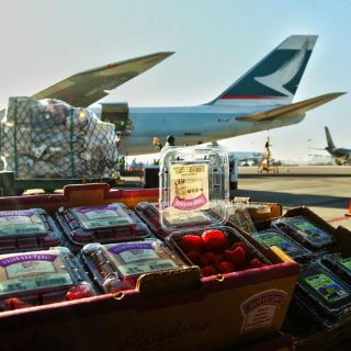 Crece participación del agro en exportaciones de Jalisco