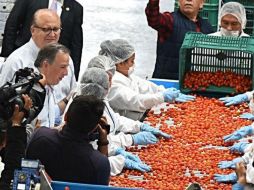 El secretario de Hacienda señaló que el tema del campo es un buen ejemplo de un sector en dónde todas las partes han ganado. TWITTER / @JoseAMeadeK
