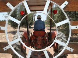 La economía mexicana ha superado las expectativas que se tenían a principios de año. NTX / ARCHIVO