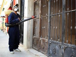 Las actividades se harán con énfasis en colonias metropolitanas donde se tiene alta concentración del mosco transmisor. EL INFORMADOR / ARCHIVO