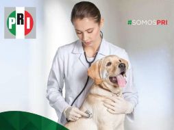 ‘¿Desde cuándo el estetoscopio se usa en el cuello?’, fue uno de los tantos comentarios. TWITTER / @fratta