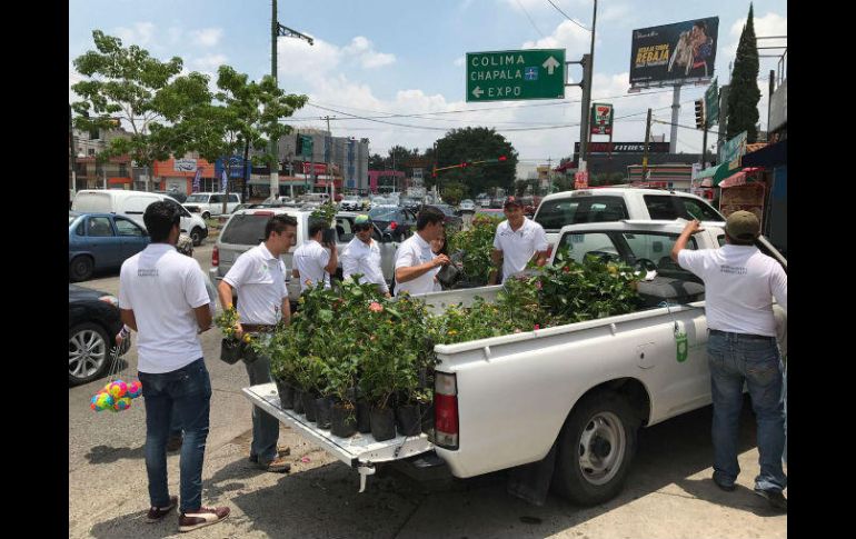 Los jóvenes brigadistas se encargaron de repartir los árboles a las personas ESPECIAL / Gobierno de Zapopan