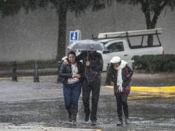 Durante la tarde hay probabilidad de que fuertes precipitaciones en regiones de Jalisco. EL INFORMADOR / ARCHIVO