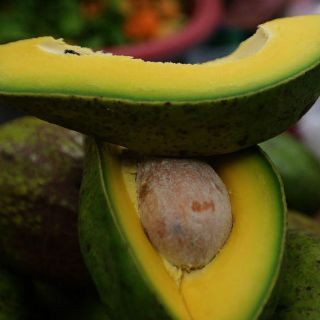 Pese a anuncio oficial, el aguacate sigue caro