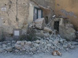 Imágenes muestran edificios derruidos y otros con grietas profundas en los muros, entre otras señales de daños estructurales. EFE / C. Abbate