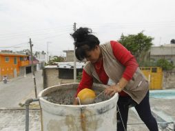 Cruces Mada apunta que es importante que la sociedad sea vigilante del vector. EL INFORMADOR / ARCHIVO