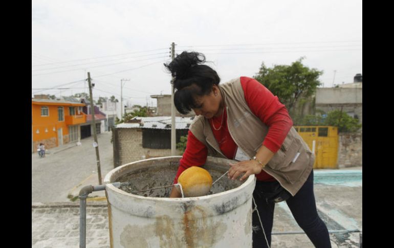 Cruces Mada apunta que es importante que la sociedad sea vigilante del vector. EL INFORMADOR / ARCHIVO