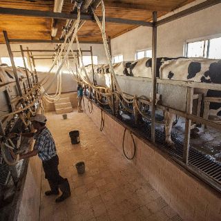 Jalisco invierte 46 MDP en deshidratadoras de leche