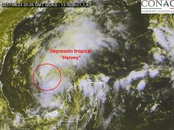 Prevén lluvias intensas con actividad eléctrica en Nuevo León y la zona norte de Tamaulipas. TWITTER / @conagua_clima
