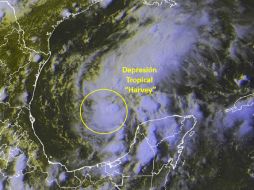 El Centro Nacional de Huracanes de EU informó que 'Harvey' arribará a Texas el viernes. TWITTER / @conagua_clima