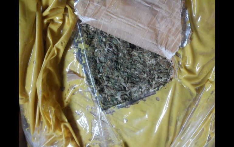 Todo lo asegurado es puesto a disposición de los Ministerios Públicos de la Federación. EL INFORMADOR / ARCHIVO