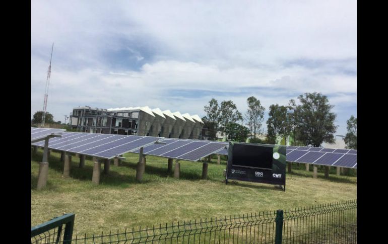 La UdeG invirtió 20 millones de pesos en este huerto solar. TWITTER / @udg_oficial