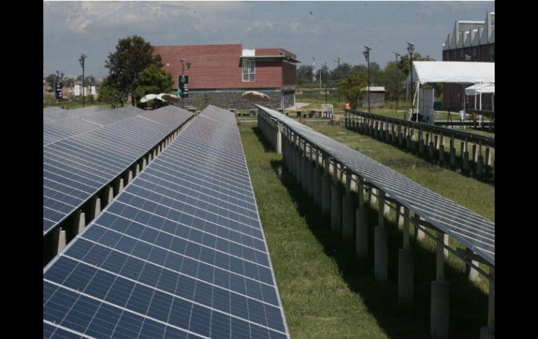 La Universidad de Guadalajara invirtió 20 millones de pesos en un huerto solar. EL INFORMADOR / F. Atilano