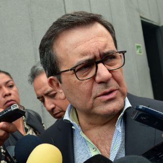 México tiene alternativas en negociación del TLCAN: Guajardo