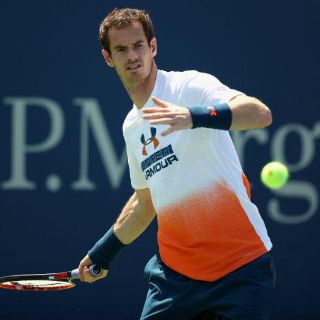 Andy Murray se perderá Abierto de EU por lesión