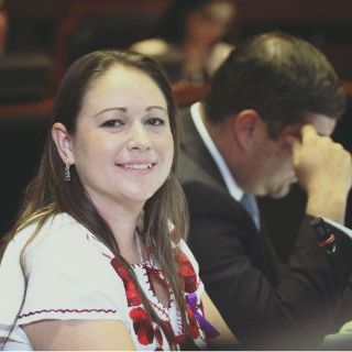 El Partido Verde niega derrota por #SinVotoNoHayDinero