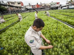 Entre los servicios contratados por adjudicación directa se cuentan telefonía, vehículos, uniformes y jardinería. EL INFORMADOR / ARCHIVO