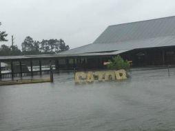 Informan que están a nada de que el santuario Gator Country quede bajo el agua. FACEBOOK / Callie Saurage