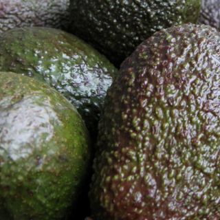 Escasez aumenta robo de aguacate en Nueva Zelanda