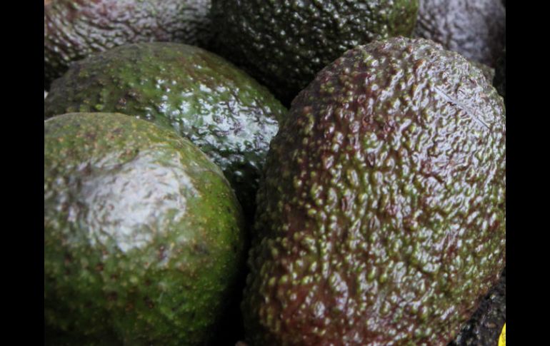 En México, en algunos estados el precio del aguacate se ha registrado hasta en 90 pesos. EL INFORMADOR / ARCHIVO