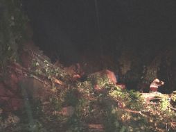 El cierre se registró en la carretera federal 200 Sur también conocida como carretera a Vallarta. ESPECIAL / Protección Civil Jalisco