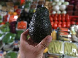 Una tercera parte de las importaciones en productos agrícolas en Canadá proviene de nuestro país. NTX / ARCHIVO