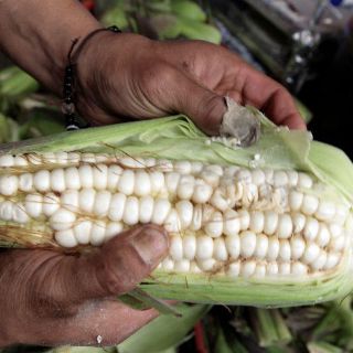 México y EU coinciden en fortalecer capítulo agrario de TLCAN