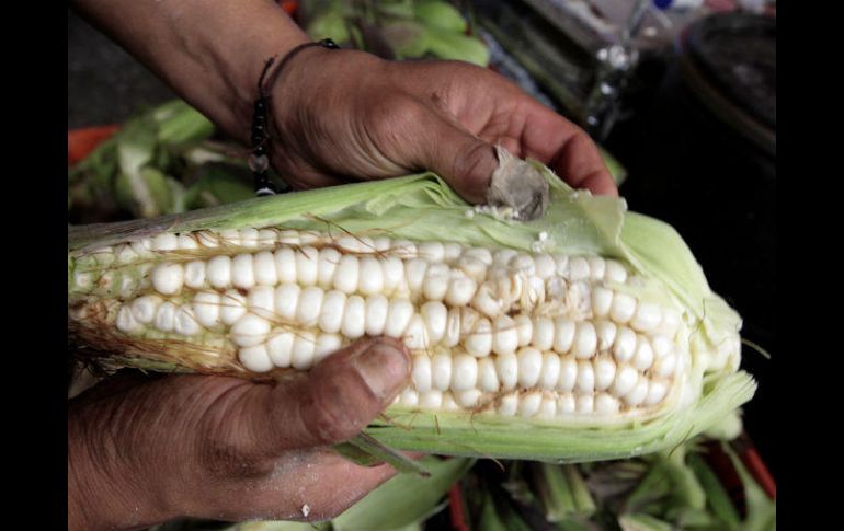 Buscan ir más allá del intercambio comercial, como la colaboración, cooperación e inversión en sectores agroalimentarios. NTX / ARCHIVO