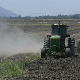 El campo, buen negocio para los ‘Millennials’: Sagarpa