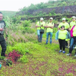 Aprovechan temporal para reforestar el Cerro del Tesoro