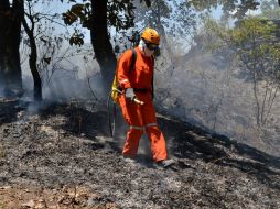 Los esfuerzos de los brigadistas lograron que el incendio fuera controlado casi en su totalidad. EL INFORMADOR / ARCHIVO