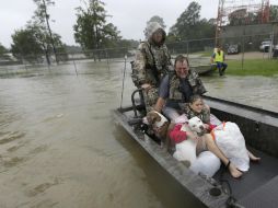 'Harvey' arrojó enormes cantidades de lluvia en varios condados de Texas. AP / ARCHIVO