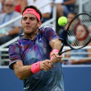 Del Potro avanza a cuartos de final del US Open