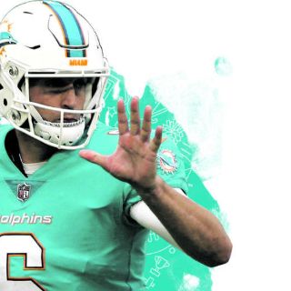 Los Delfines de Miami navegan por aguas tranquilas