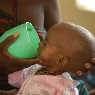 Unos 800 mil niños sufren malnutrición en la cuenca del lago Chad
