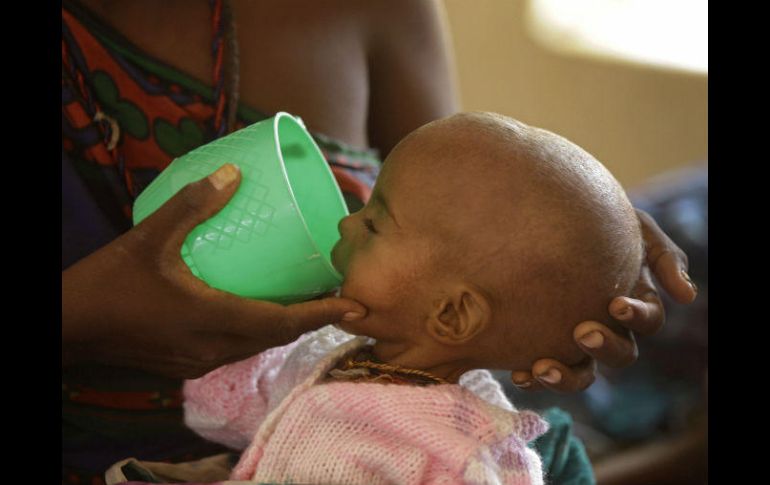 De los 800 mil niños malnutridos, 450 mil están en Nigeria, 247 mil 500 en Níger, 63 mik en Camerún y 22 mil en Chad. AP / ARCHIVO