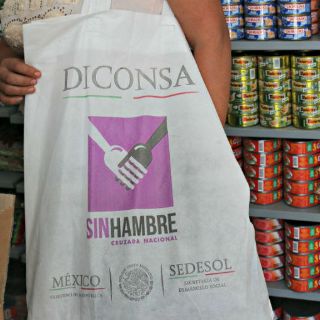 Señalan desvío de la Sedesol por más de dos mil MDP