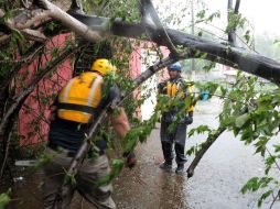 Miembros de un équipo de búsqueda y rescate durante una misión de búsqueda mientras 'Irma' llega a Puerto Rico. AFP / R. Arduengo