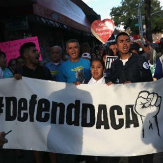 Arrestan a profesores de Harvard en manifestación pro DACA
