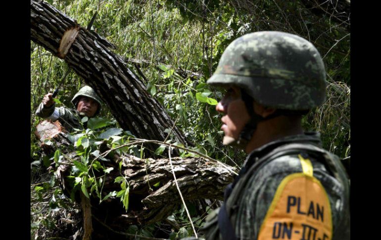 Miembros del Ejército llevan a cabo el Plan DN-III-E en Veracruz. AFP / Y. Cortez
