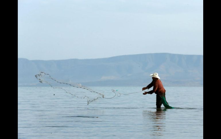 Este año el Lago de Chapala se ubica a 63 por ciento de su capacidad. EL INFORMADOR / ARCHIVO