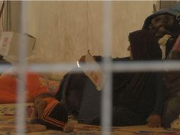 Miles de extranjeros viajan a Iraq y Siria para vivir en el autoproclamado Estado Islámico. AP / B. Szlanko